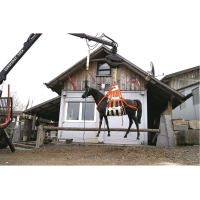 Hebegeschirr für Pferd und Rind